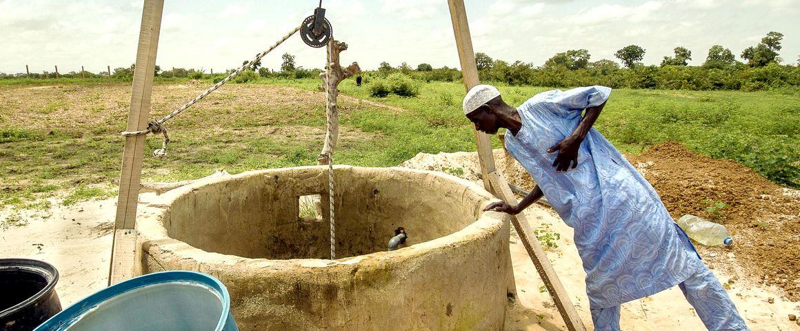 Over-pumping and climate change have dried up the groundwater  in the Sahelian region © R. Belmin, CIRAD